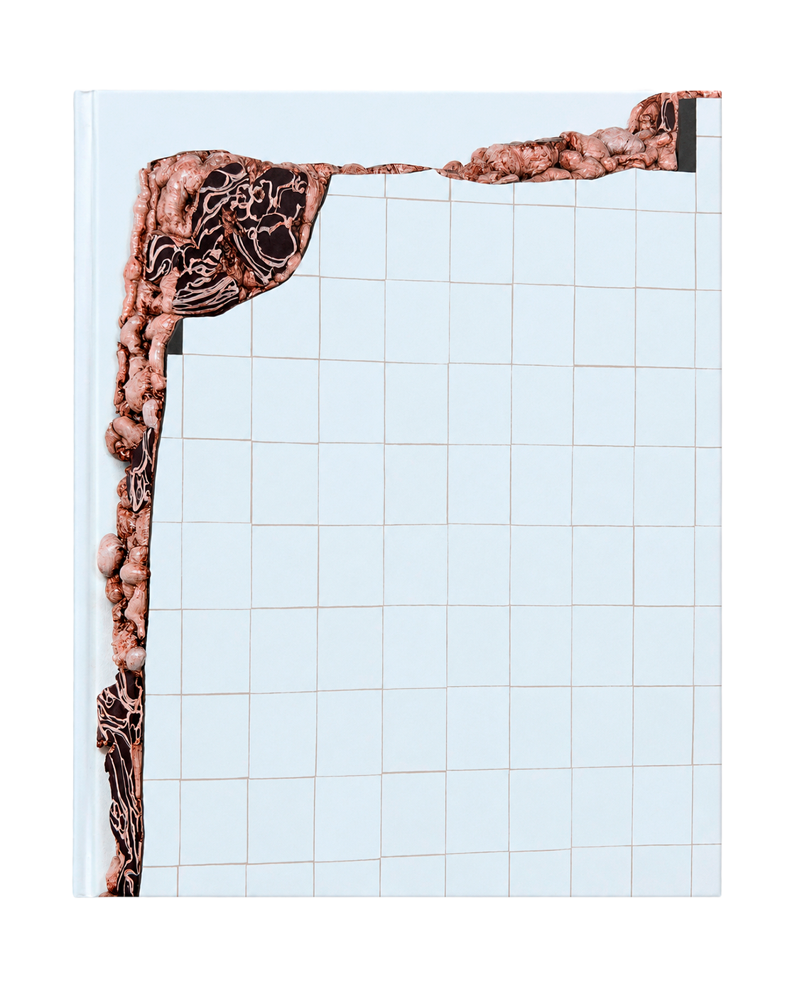 Capa do catálogo Adriana Varejão: pele do tempo, projeto editorial da Via Traço