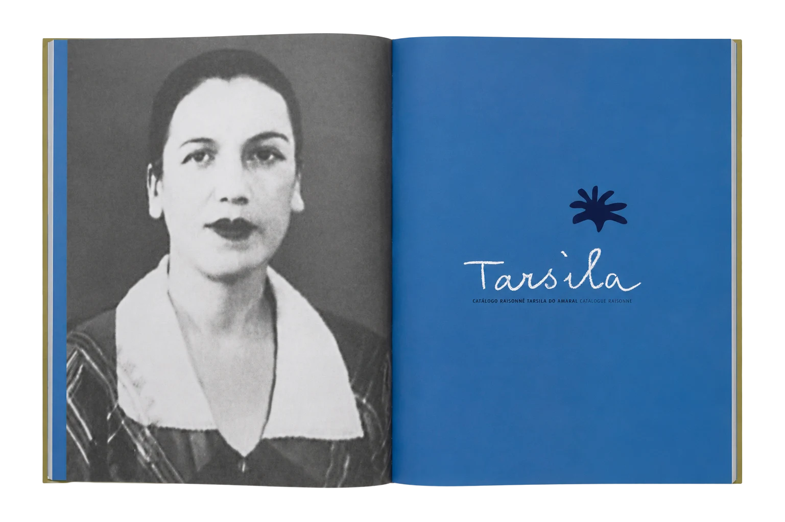 Catálogo raisonné Tarsila do Amaral — página 8